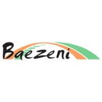 Logo-Baezeni Digital Services